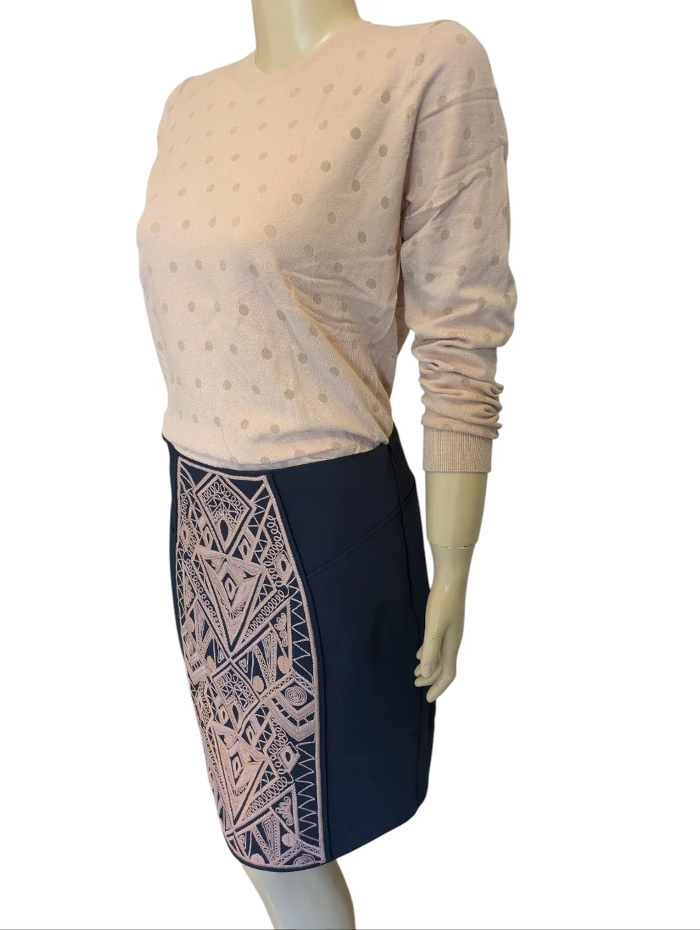 Tibi Pencil Skirt with Blush Embroidered Panel, ASO Serena Van Der Woodsen NWOT - Picture 9 of 16